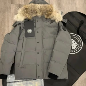 Grå dunjacka från Canada Goose - Säljer en stilren grå dunjacka från Canada Goose med pälskantad huva och knappar framtill. Jackan har en broderad logotyp på ärmen och är perfekt för kalla vinterdagar. Den är långärmad och har en klassisk passform.