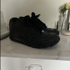 Nike AirMax  - Fina Nike airmax i svart. Storlek 43