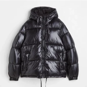 Glansig jacka - Glansig jacka från hm, fint skick förutom ett litet hål på vänster ärm. Skriv privat för egna bilder 