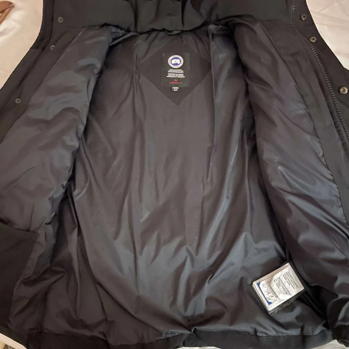 Canada goose  - 90