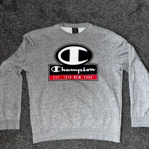 Grå sweatshirt från Champion - Säljer en grå sweatshirt från Champion med stort tryck på framsidan. Tröjan har långa ärmar och en klassisk rund halsringning. Perfekt för en avslappnad stil.