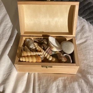 Snäckor 🐚💕🫧 - En trälåda fylld med olika fina snäckor och stenar. 🐚🫧