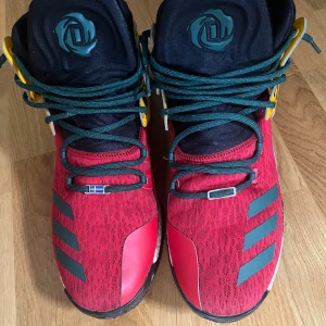 Customized shoes Adidas - Customized skor från Adidas i storlek 46. Nya sneakers skoinlägg.