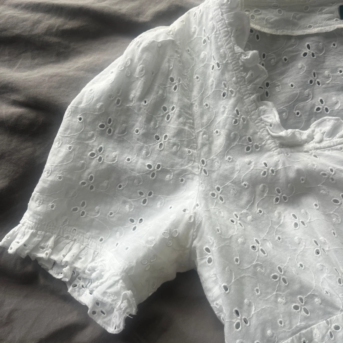 Jättefin topp  - 91