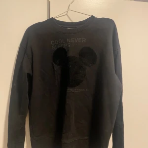 Musse pig tröja - Musse pig tröja från ZARA Disney kollektion. Använd fåtal gånger 