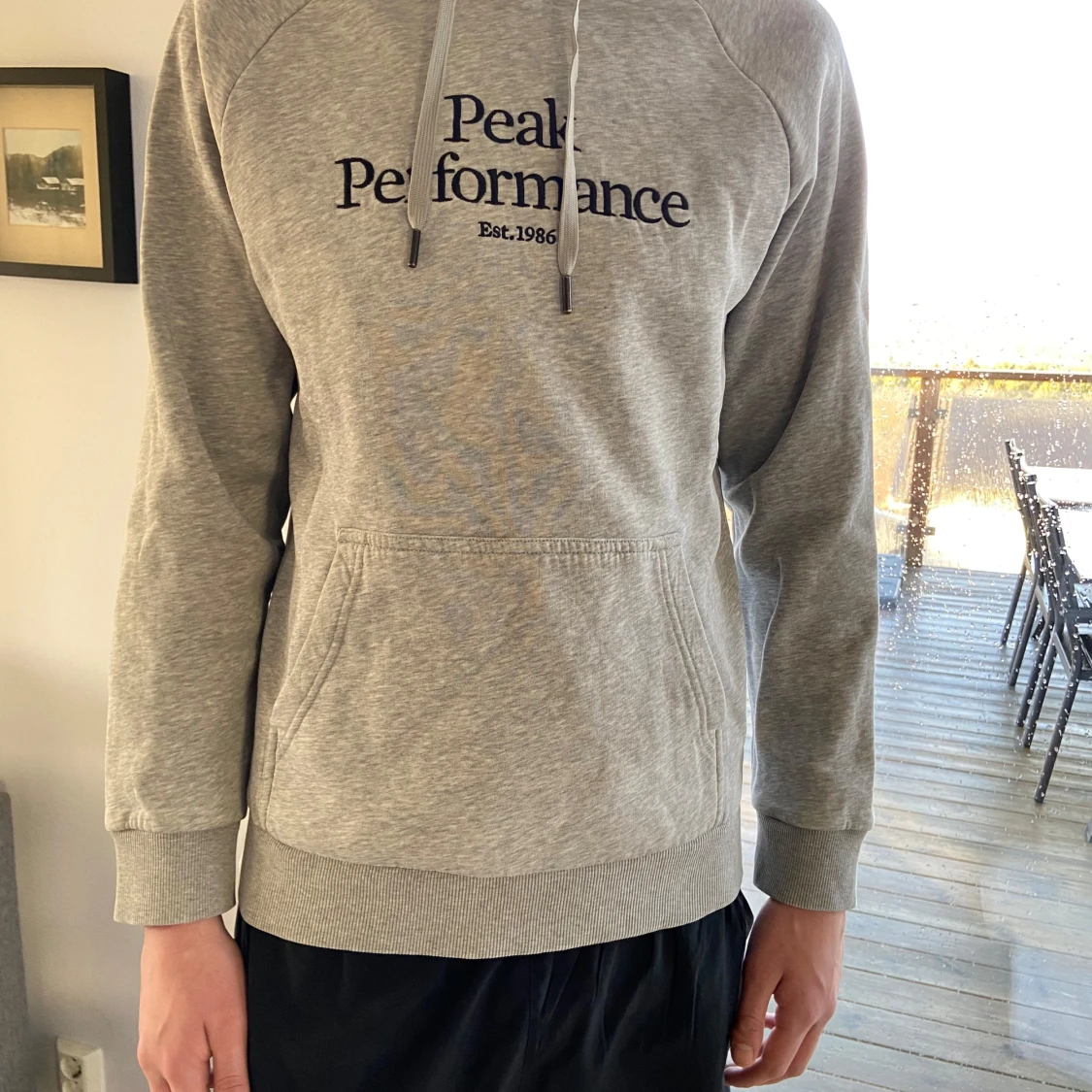 Grå hoodie från Peak Performance