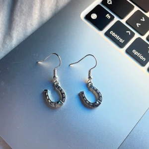 Örhängen hästsko  - Örhängen hästsko🐴 hemmagjord  Du får med ploppar💕