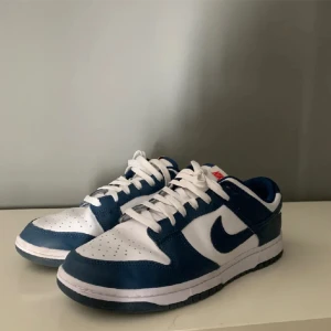 Nike Dunk - Ett par fina dunks som inte längre kommer till användning. Kvitto finns för äkthet men tyvärr finns ingen box. 