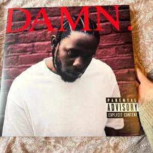 DAMN. Vinyl Album Kendrick Lamar - Säljer då den inte kommer till användning! Jätte gott skicka och inga repor.