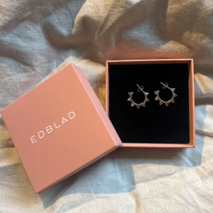 Örhängen med nitar - Säljer dessa coola nitörhängena i rostfritt stål från Edblad, inte använda mer än 5 gånger och inga tecken på användning. Nypris: 399 kr