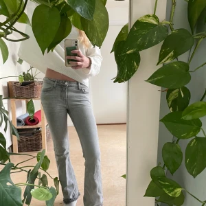 Grå jeans med bootcut - Säljer ett par snygga ljusgrå low waist jeans med bootcut. De är i bra skick, från Gina Tricot Young , säljs inte längre. Passar bra till en stickad tröja eller en snygg blus. Sköna och stilrena, ett måste i garderoben! Säljer då dem blivit för små för mig tyvärr🥰