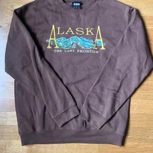 Brun sweatshirt från Minga London - Brun sweatshirt från mingalondon med broderat motiv. Använd några enstaka gånger men inget som märks på den🫶Storlek m men passar s