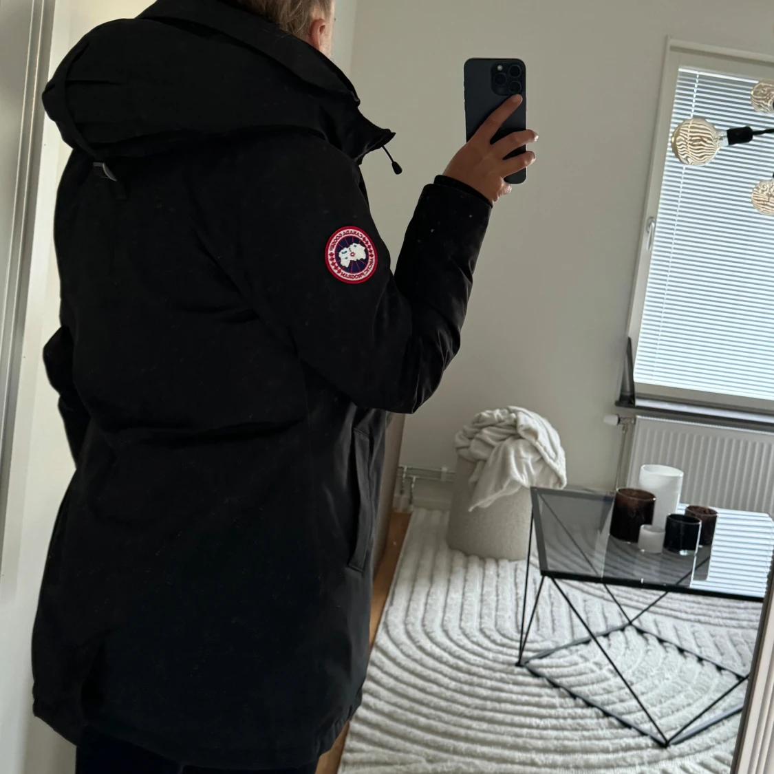 Canada goose - 2