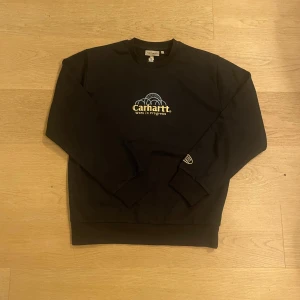 Helt ny Svart sweatshirt från Carhartt - Säljer en marin/mörk blå sweatshirt från Carhartt med broderad logga 'Work in Progress' på bröstet och 'Detroit' på ärmen. Tröjan är helt ny och och finns i storlekarna XS, S, M och L. Kommer inplastad i orginalförpackning. Perfekt nu för höst och vinter! Skriv om ni har några funderingar!