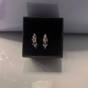 Nitörhängen från edblad - Säljer ett par Nit örhängen från Edblad i silver!!