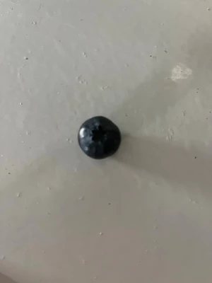 Star blueberry (one of a kind) - En stjärn likt blåbär 