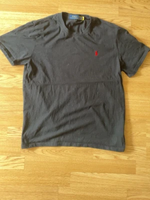 Polo Ralph Lauren T-Shirt - Fin T-shirt i mycket gott skick, inga defekter löptes från samma app den säljs på men lappen på. Så mycket bra skick. Kontakta mig för mer info!