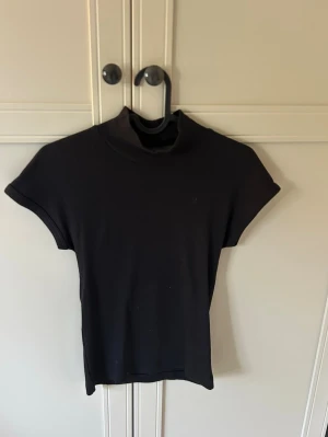 Svart polotopp från Zara - Superfin ribbad polotopp från Zara 