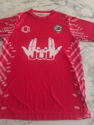 jul ninetta tröja - Säljer en rosa sporttröja med vita grafiska tryck och texten 'NINETTA 10' på ryggen. Tröjan har korta ärmar och mönstrade detaljer längs sidorna och ärmarna. Perfekt för träning eller match. Materialet är troligtvis polyester för bästa komfort.
