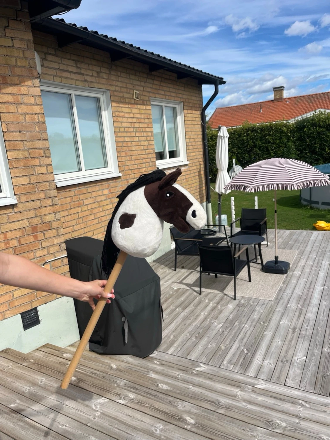 Käpphäst med täcke och grimma - 3