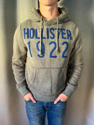 Hollister Hoodie