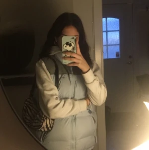 Jacka champion - Säljer min väst från Champion. Vi kan diskutera pris eller buda (vill ha minst 300)