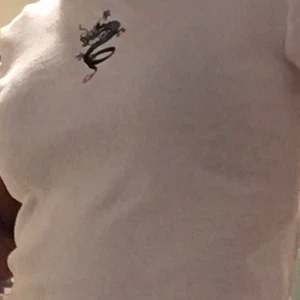 En drak t-shirt  - En drak t-shirt från H&M som används ett fåtal gånger✨ köptes för 120kr