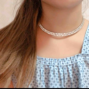  - Halsband - Frakt 12kr 