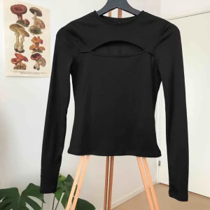  - 🌵Tight långärmad tröja med ”håldetalj” på bröstet🌵 Fint material och bara använd en gång🖤 Frakt går på ca 30 kr🖤 Möts gärna upp i Göteborg!