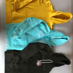  - Gul Peak Performance: Storlek: 170  Pris: 450 kr  Blå Peak Performance: Slitna muddar med något litet hål. Har några fläckar på framsidan.  Storlek: S  Pris: 225 kr  Grön Gant: Några relativt diffusa fläckar på framsidan.  Storlek: S Pris: 450 kr