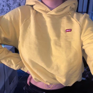 Levis hoddie - Säljer nu min Levis hoddie. Har haft den i 2 år snart o använd få tall gånger. Strl xs / s. Väldigt fin gul färg på den! Snörningar längst ner på tröjan så det kan även bli en kortare tröja. 