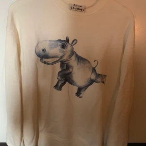 Acne Collegetröja  - Collegetröja, säsong 2019. 