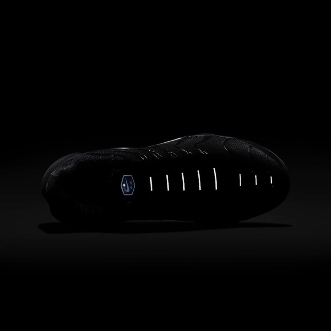 Nike Air Max Plus - 91