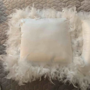  - Jätte fina fjäder kuddar ifrån zara! Haft i ett halvår! 150st/250kr för båda köpta för 500kr tsm