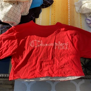 Champion tröja  -  Storlek: s Pris: 80kr Frakt:  44kr Hör av dig om du är intresserad💖💖 