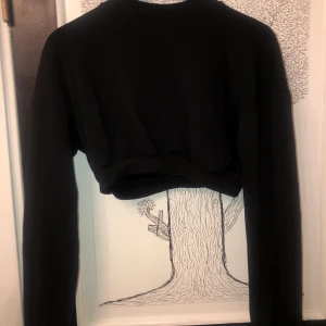 Långärmad magtröja från ASOS i strl 38 - Svart långärmad magtröja i bra skick. Inte använd mycket, nypris 150kr, mitt pris 50kr+ eventuell frakt 