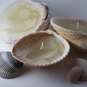 Intressekoll! - Jag har tänkt att börja sälja snäckljus och undrar ifall det skulle vara något ni är intresserade av? Ni får gärna skriva till mig då och följ mig för att få veta mer information om detta i framtiden🐚