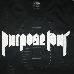 En purpose tour t-shirt i nät material. Köpt på dpop för länge sen. Knappt använd. Fick den helt ny. Är i medium men mer som en Large 