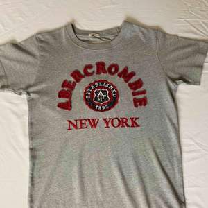 •Grå t-shirt från Abercrombie and Fitch •Rött motiv •Mycket bra skick, sparsamt använd  •Stor i storleken  