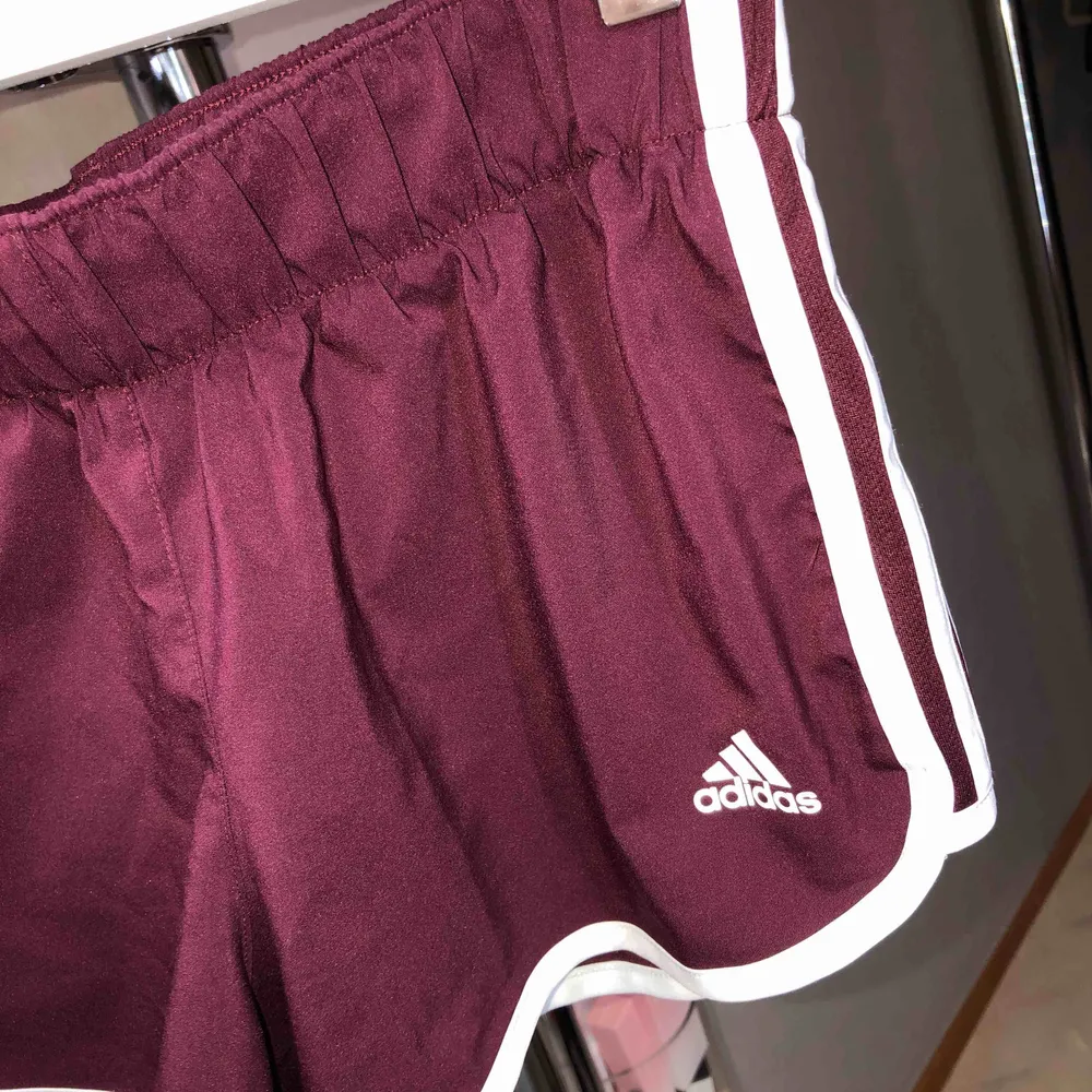 Adidas shorts i rödvin/lila. Aldrig använda.. Shorts.
