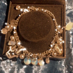 Ljusblått armband!  - Jättefint armband med ljusblå stenar och en liten krona och några döskallar. Haft de sen jag va liten så de är lite vintage. Skickar gärna fler bilder privat💙