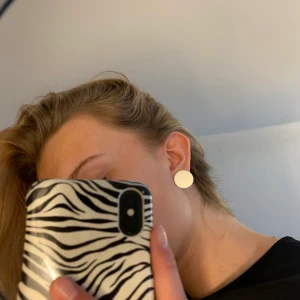 Silvriga örhängen - Knappt använda och i bra skick. Köparen står för eventuell frakt. 