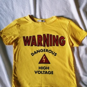 T-shirt med nice tryck - T-shirt från zara med tryck. Använd fåtal gånger. 