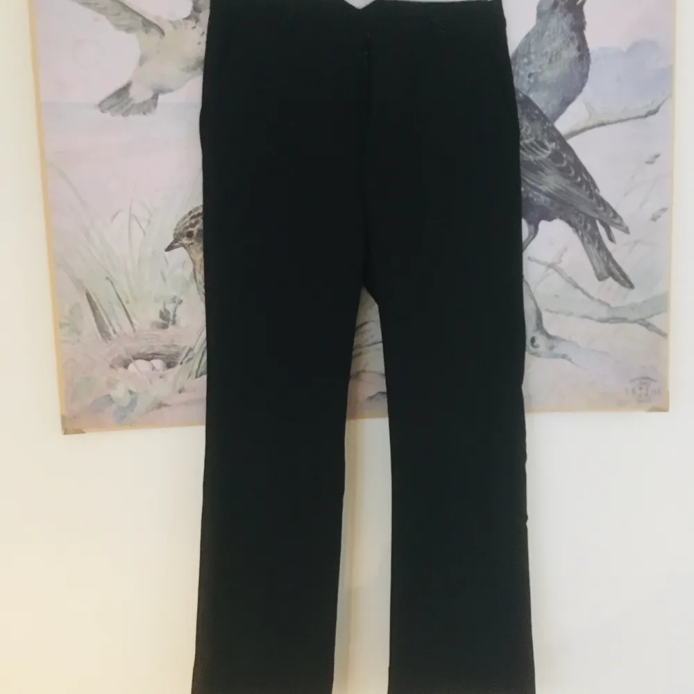 Svarta kostymbyxor från Carin Wester! Lite kickflare i modellen. Storlek 34 och skulle säga att de är lite cropped . Jeans & Byxor.