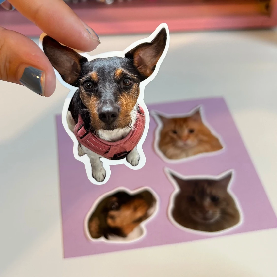 Husdjurs klistermärken 🍓 - 92
