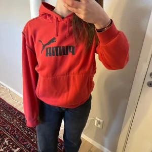Hoodid - Hoodie från Puma