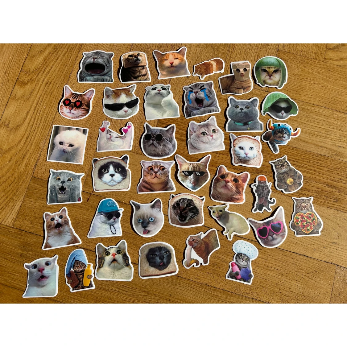 Cat meme stickers
