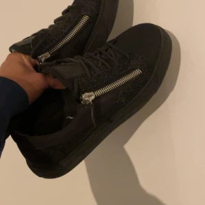 Giuseppe zanotti - Köpte på haiendo  Fräscha Stl 41(passar42)