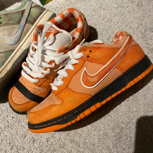 Nike SB dunk lobster  - Använt skick, se flaws på bilder. - storlek 39 EU  - allt orginal finns & kvitto. 