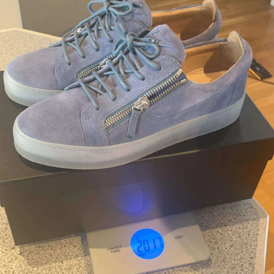 Giuseppe Zanotti blå